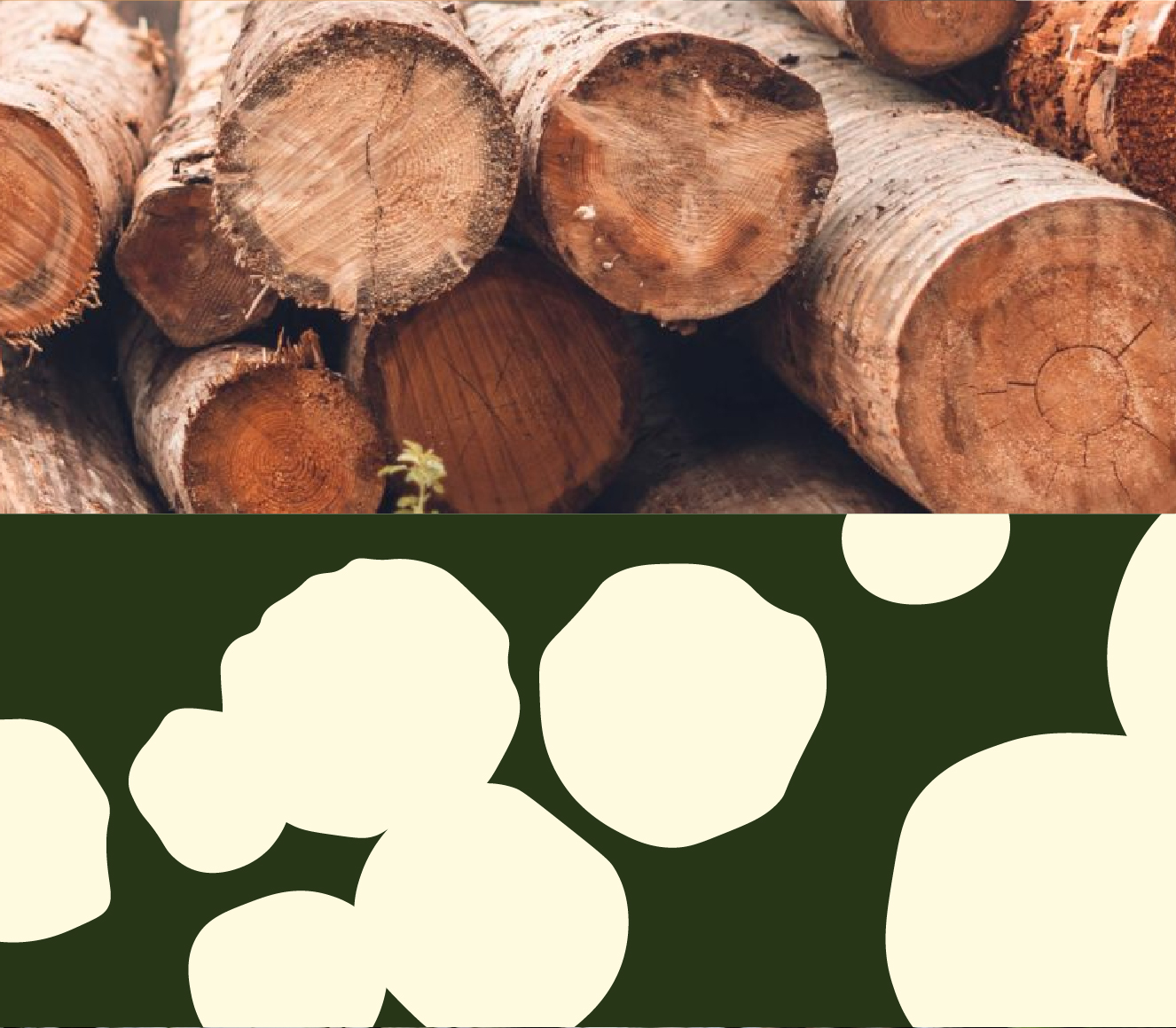 Scierie Badinter — brand identity visual 2