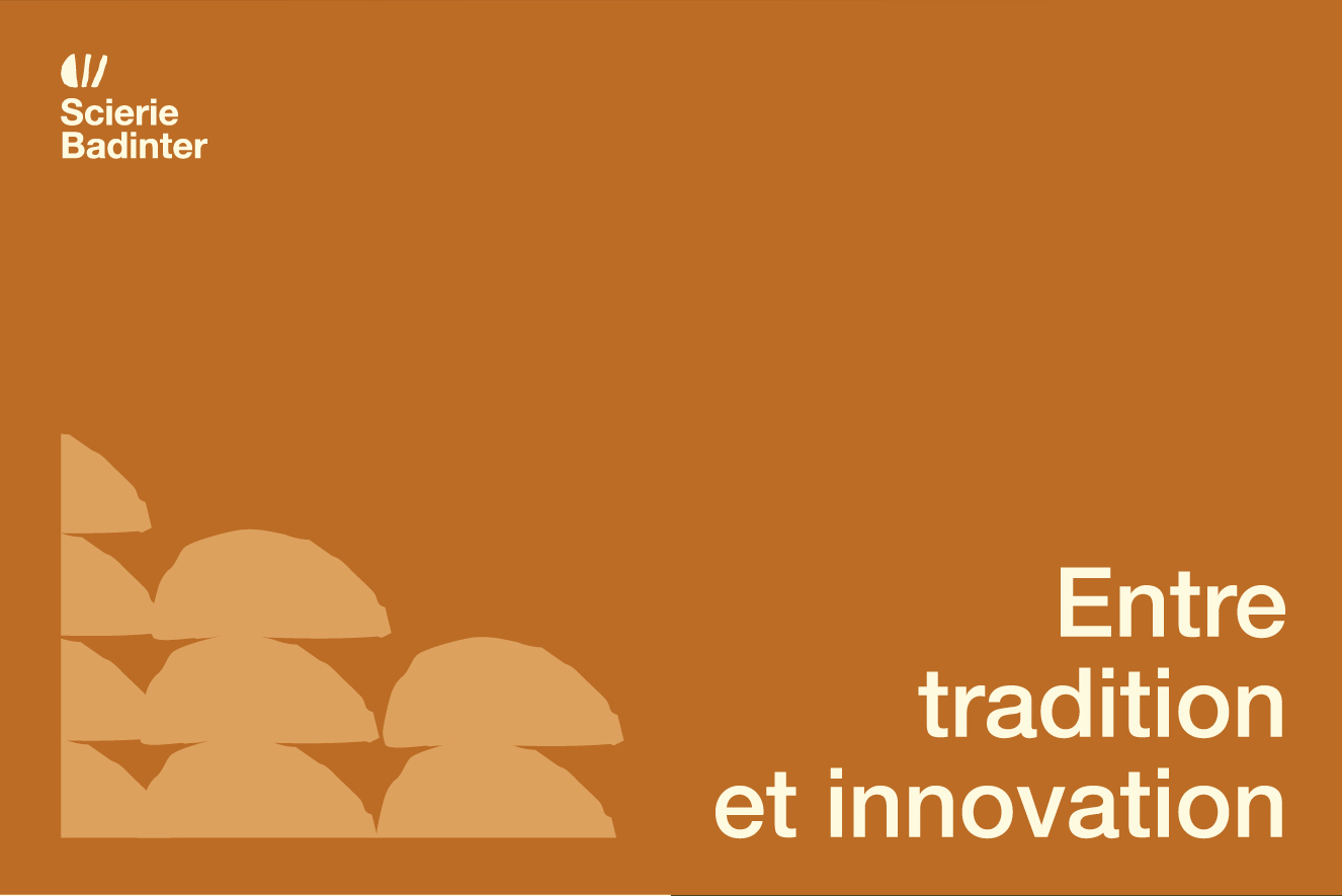 Scierie Badinter — brand identity visual 4