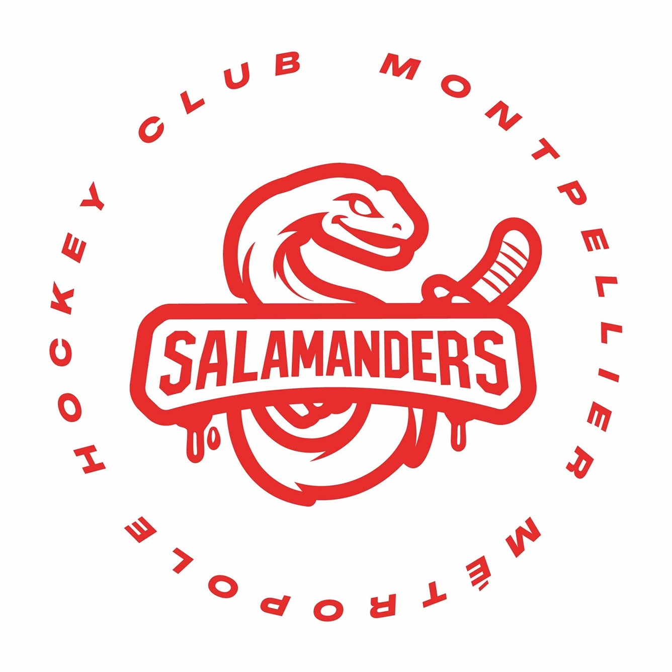 Les Salamanders — MMHC women's ice hockey team identity visual 6