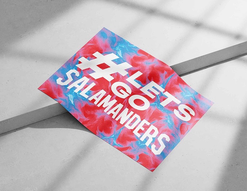 Les Salamanders — MMHC women's ice hockey team identity visual 16
